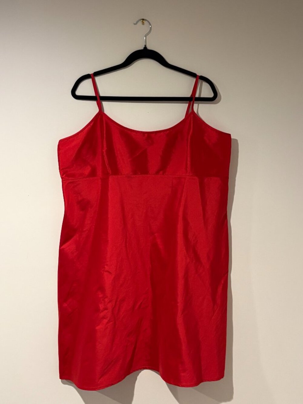 Frances Valentine Red Slip Dress